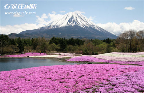富士山地区