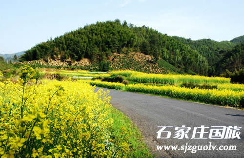 婺源3