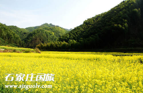 婺源1