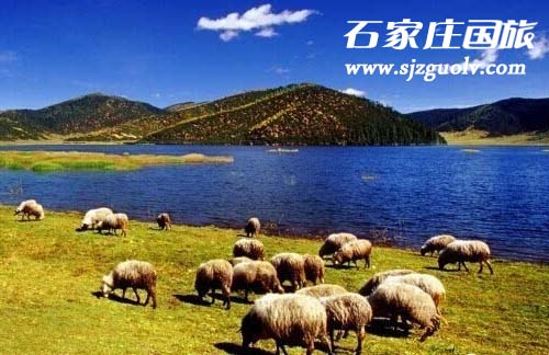 香格里拉1