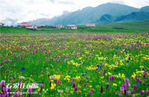 若尔盖大草原1