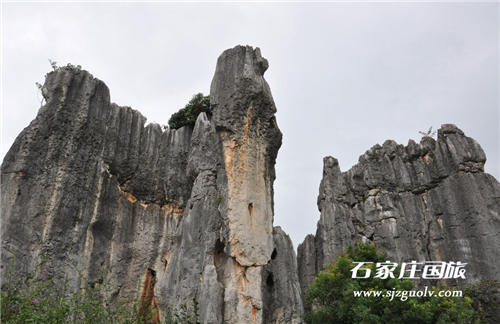 石林5