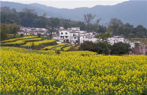 江岭景区03