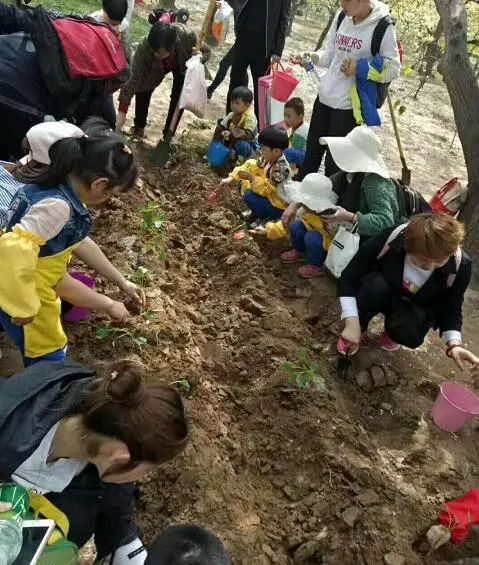微信图片_201807061124049
