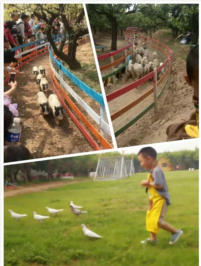 微信图片_2018070611240427
