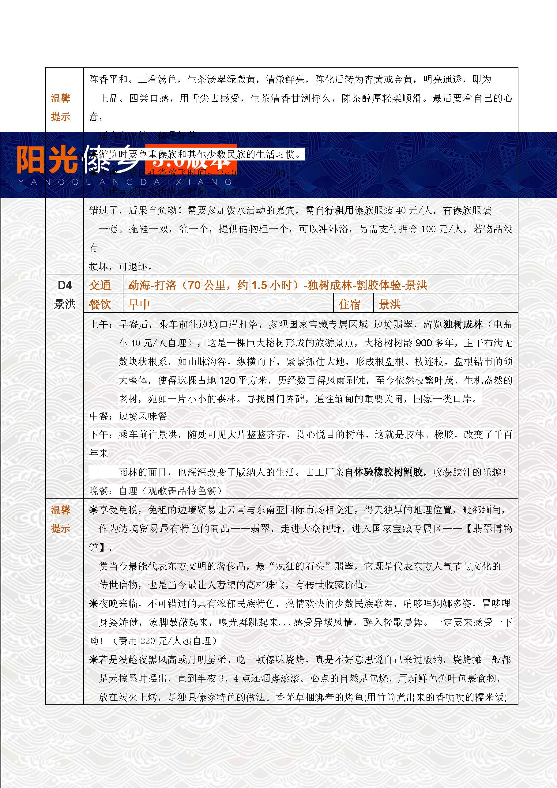 阳光傣乡昆版3飞_页面_4