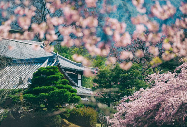 日本