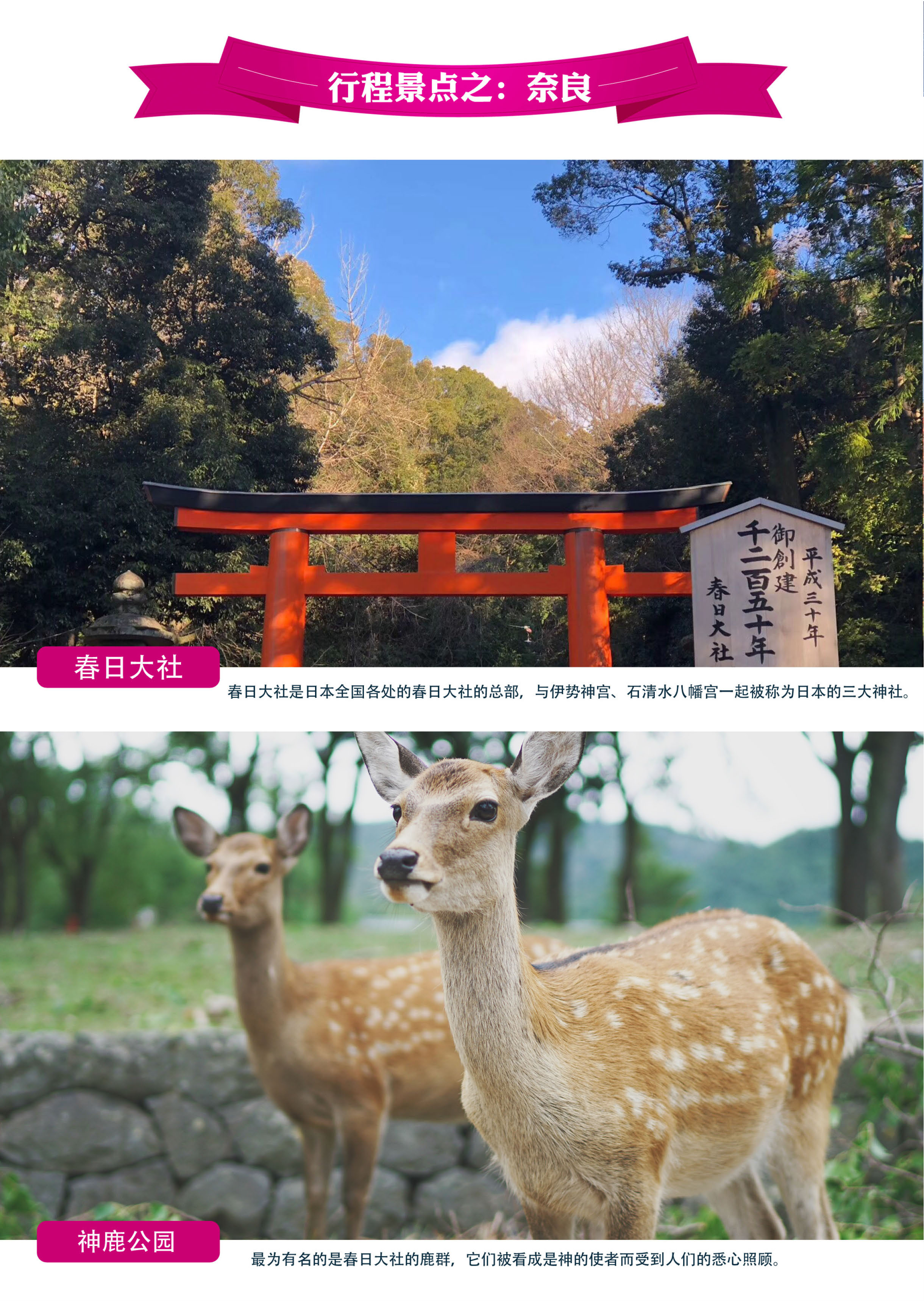 1212-NS—本州趣多多【双古都·温泉】精彩半自助5晚6日_页面_06