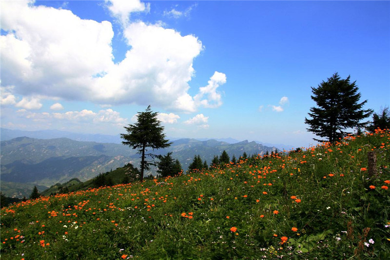 石家庄着力加强旅游公共服务体系建设
