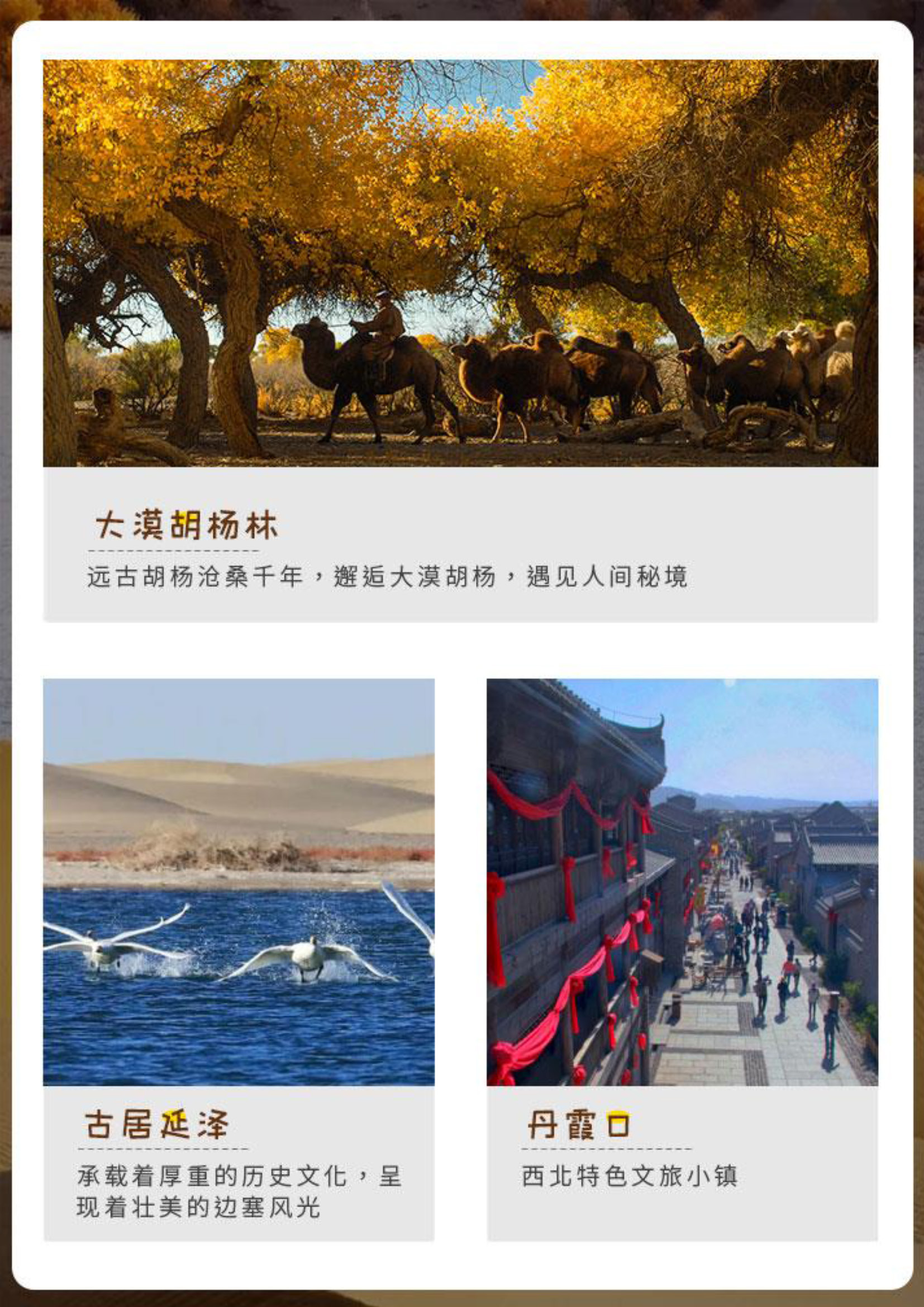 绝色金秋_页面_10