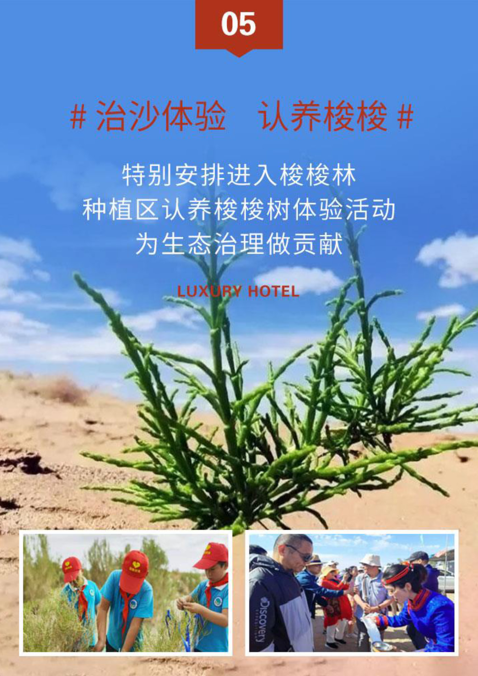风起额济纳_页面_06