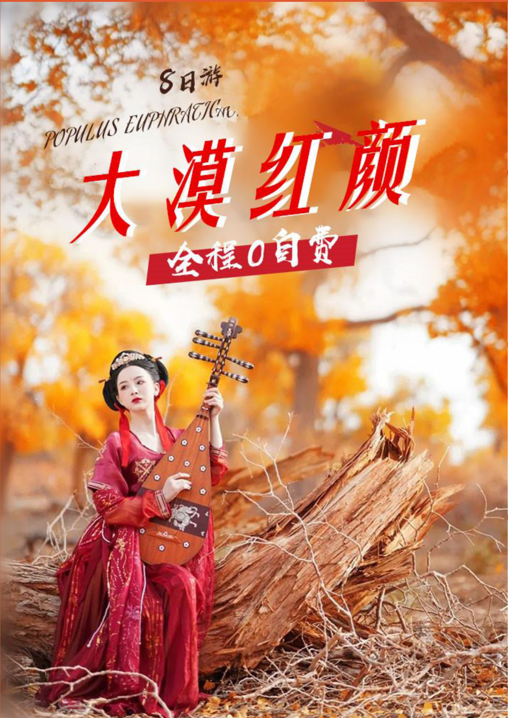 大漠红颜行程_页面_01