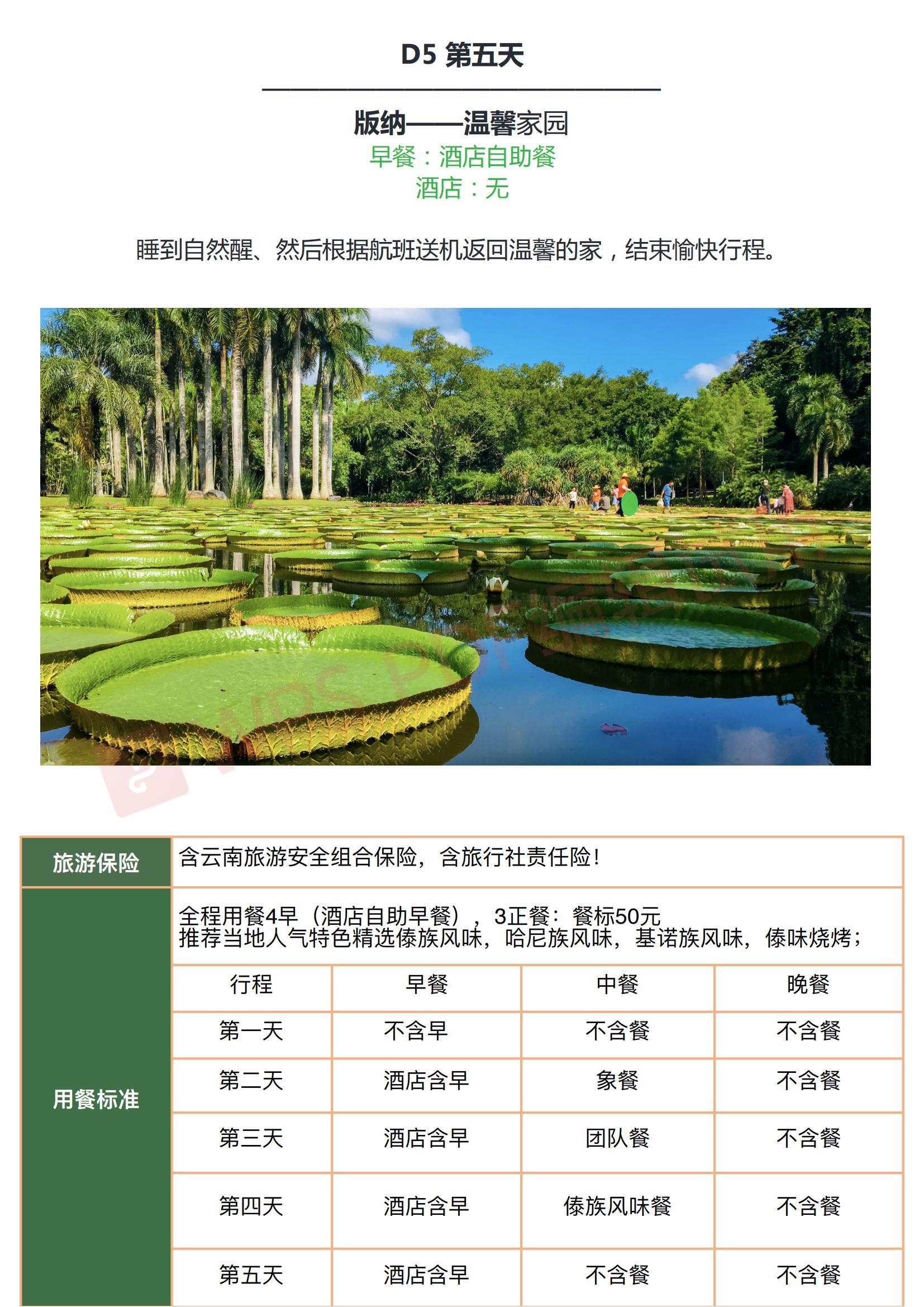 傣多多_页面_11