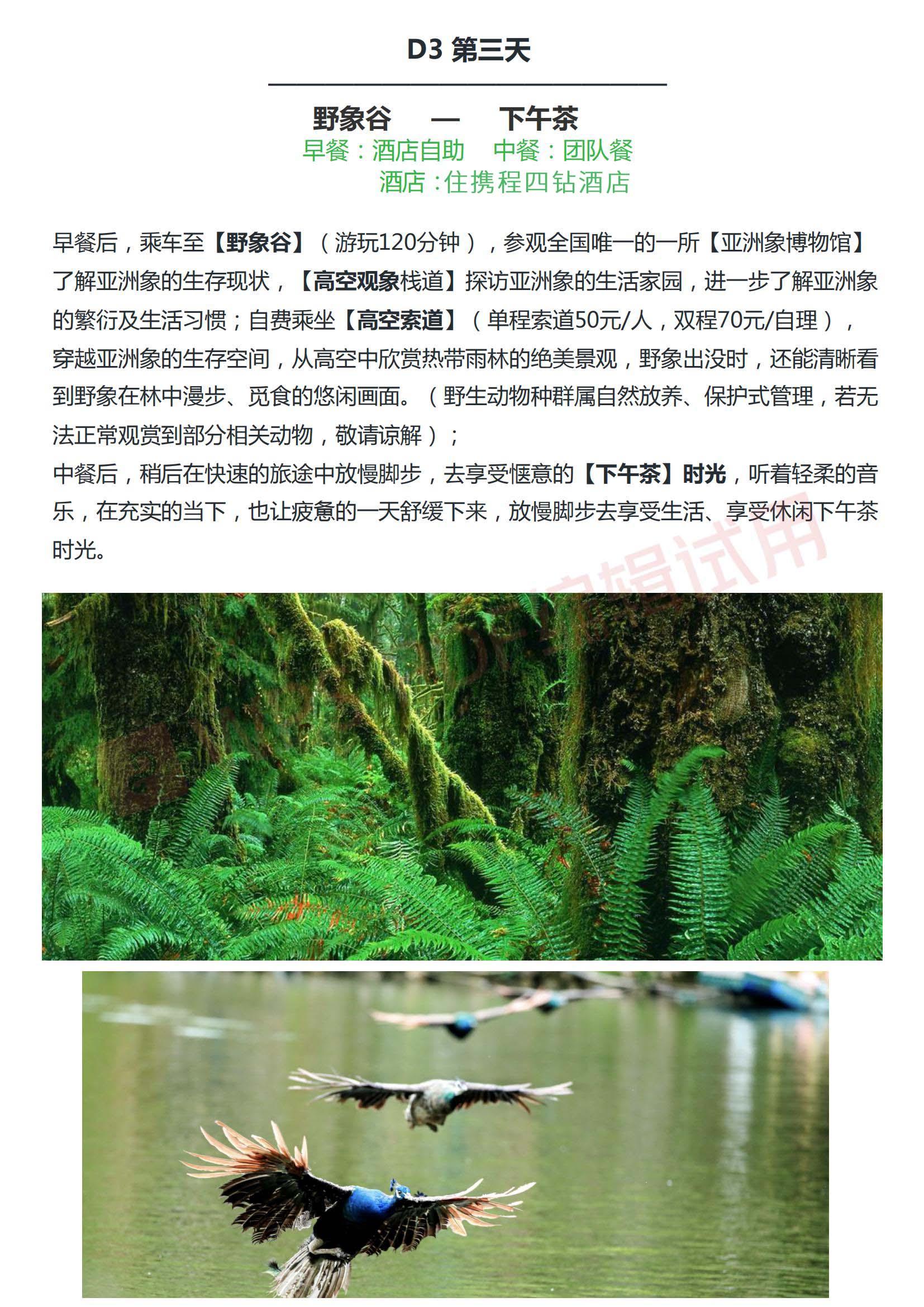 傣多多_页面_09