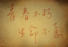清新！柬埔寨，小不同！